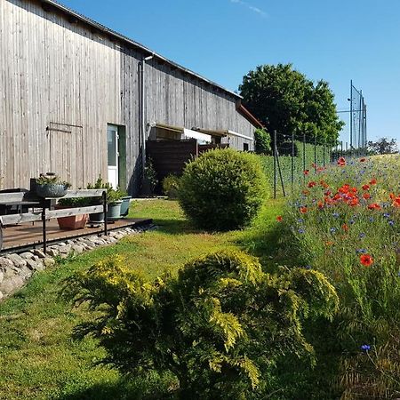 Pension Zum Wiesengrund Frauenhagen Esterno foto