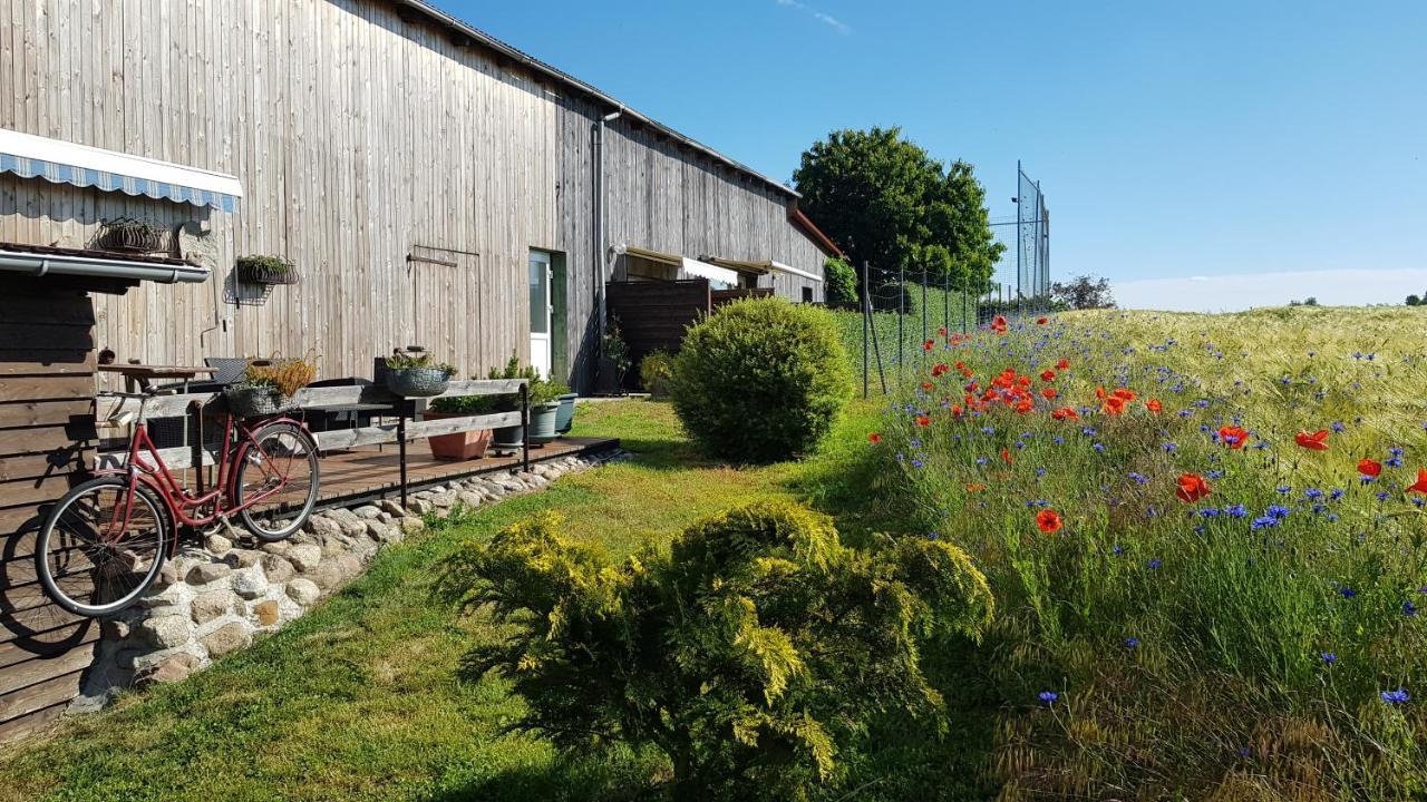 Pension Zum Wiesengrund Frauenhagen Esterno foto