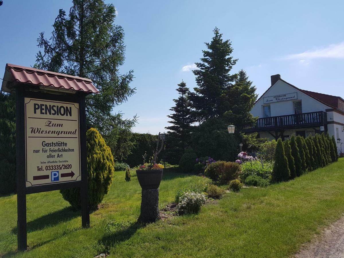 Pension Zum Wiesengrund Frauenhagen Esterno foto